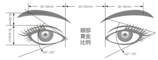 眼部黄金比例