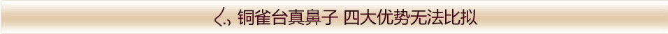 隆鼻优势