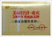 美丽经济2009年度创新品牌