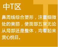 面部T区鼻部整形