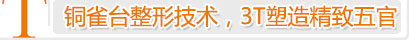 面部T区整形
