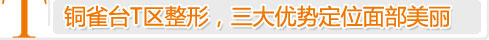 面部T区整形