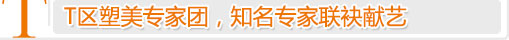 铜雀台T区整形